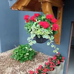 Pansiyon Bozenka *
