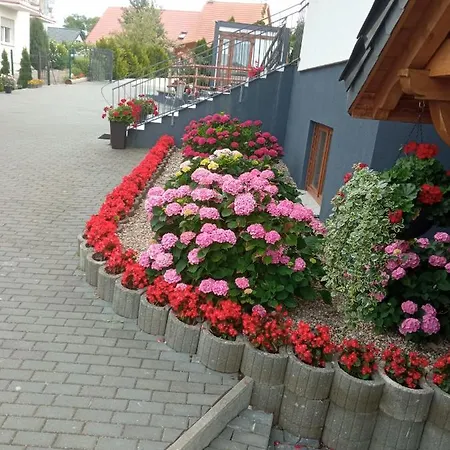 Bożenka * Niechorze