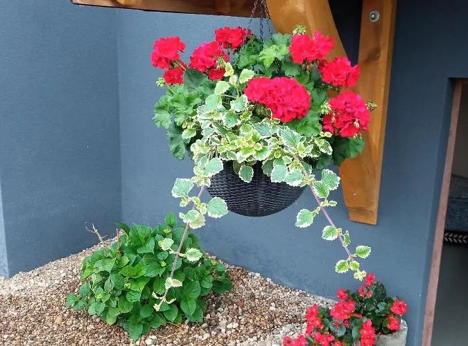 Privat bolig Bozenka *